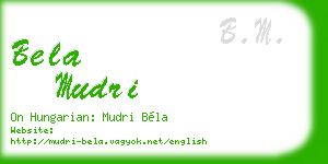 bela mudri business card